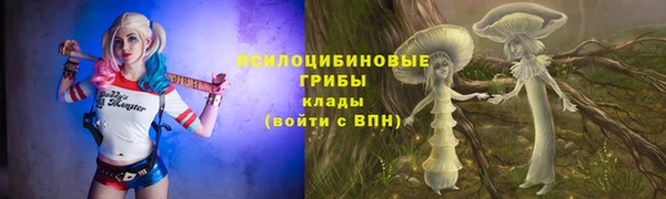 МДПВ Алзамай