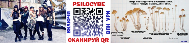 Галлюциногенные грибы мицелий  Цивильск 