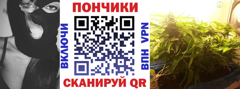 кракен ССЫЛКА  Цивильск  Бошки марихуана сатива 